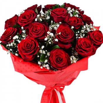 Букет из 15 красных роз с гипсофилой